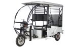 Пассажирский электротрицикл OxyVolt Trike Passenger Пассажирский электротрицикл OxyVolt Trike Passenger